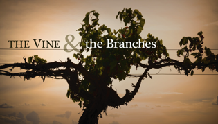 The Vine & the Branches: Abiding in Christ