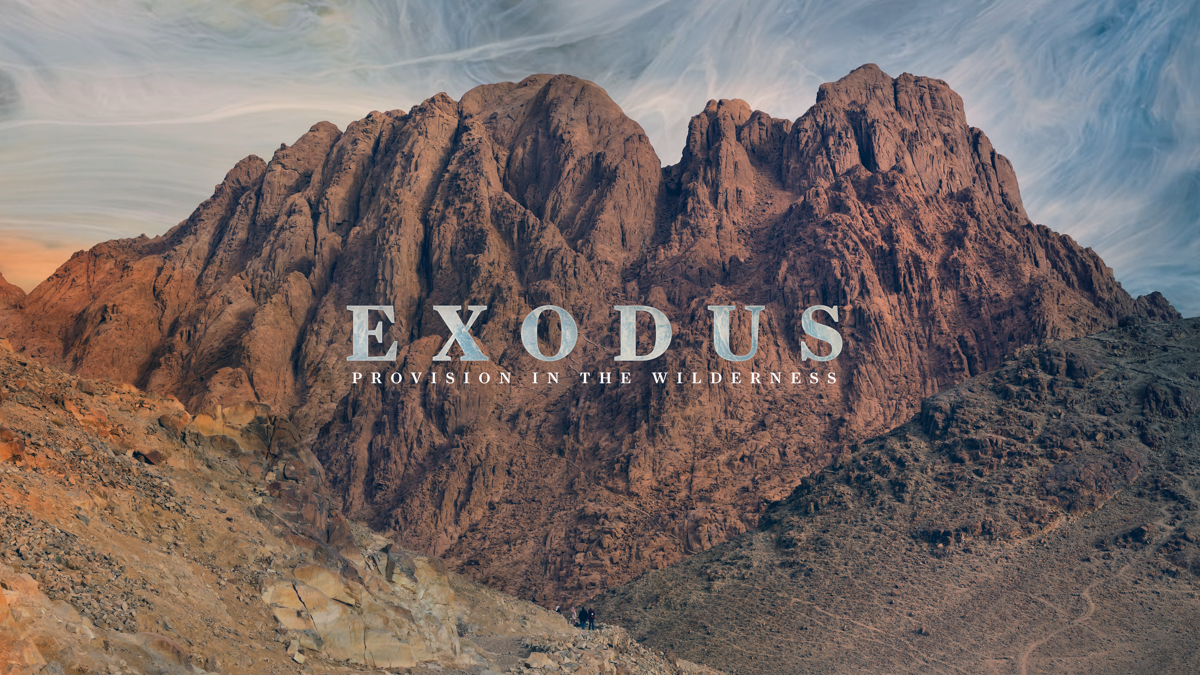 Exodus: Provision in the Wilderness