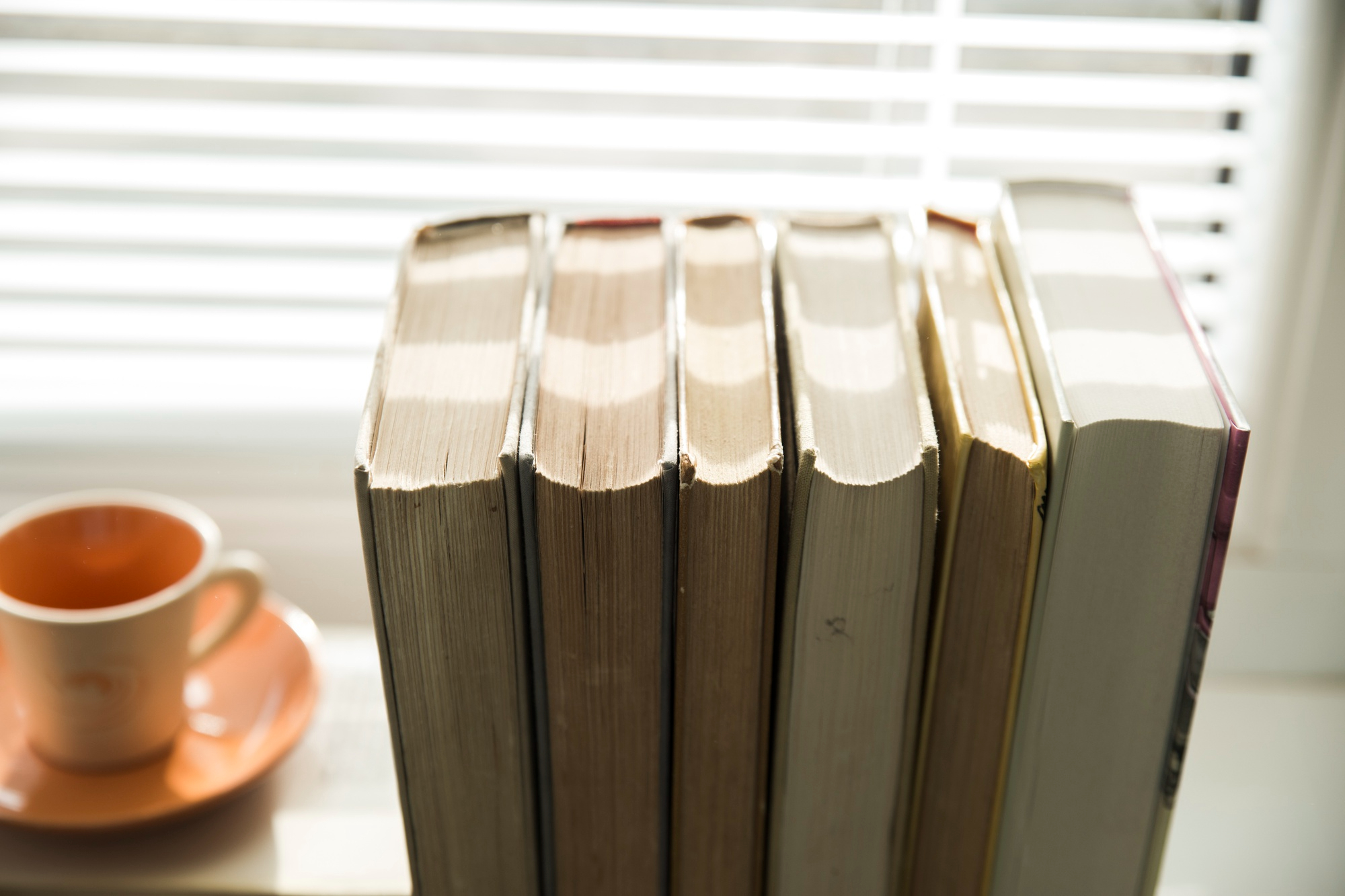 A grouping of books sit on a shelf by a window